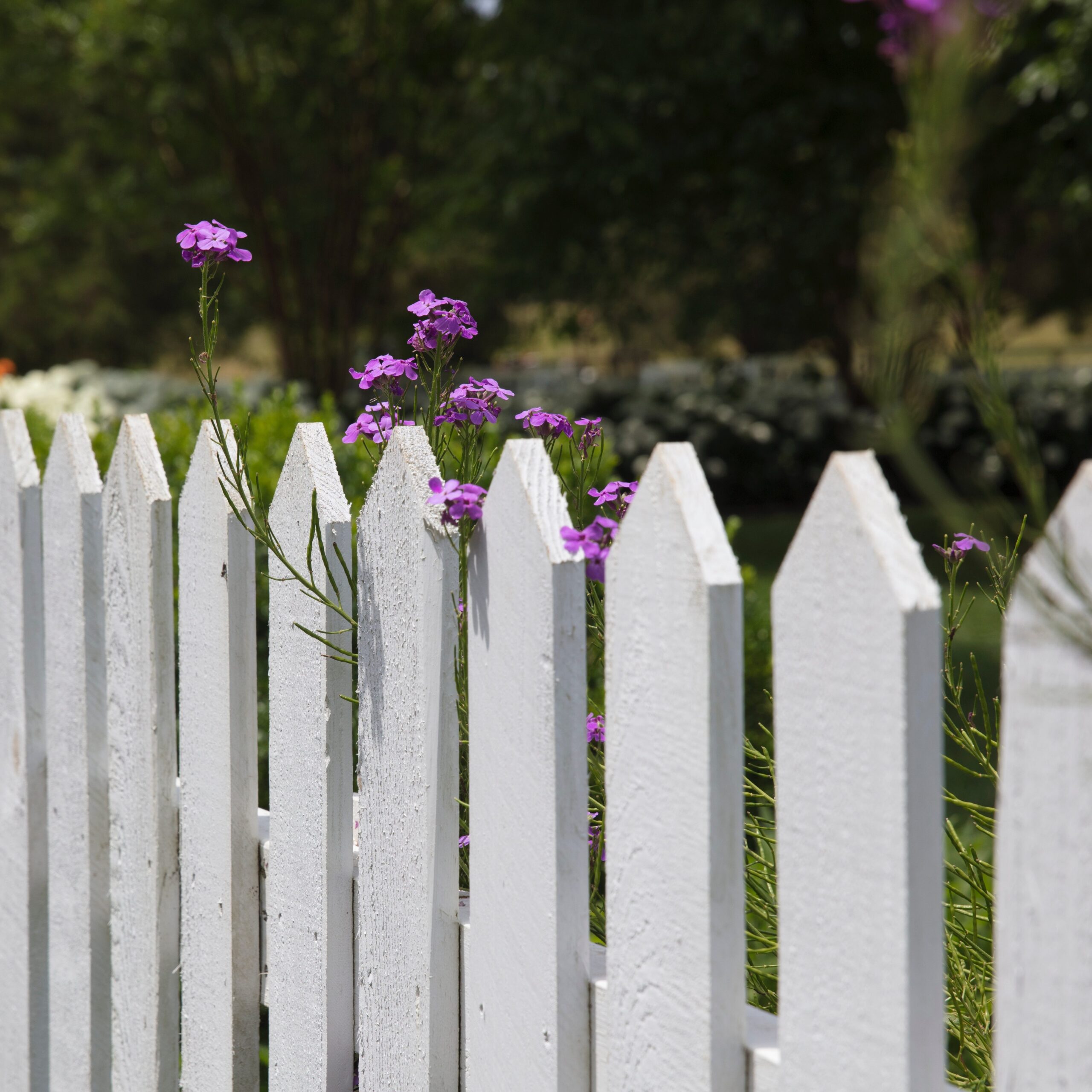 Read more about the article 3 Reasons to Add Fences to Your Marriage